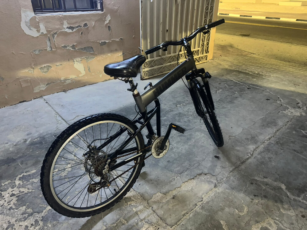 Hummer cycle - 3