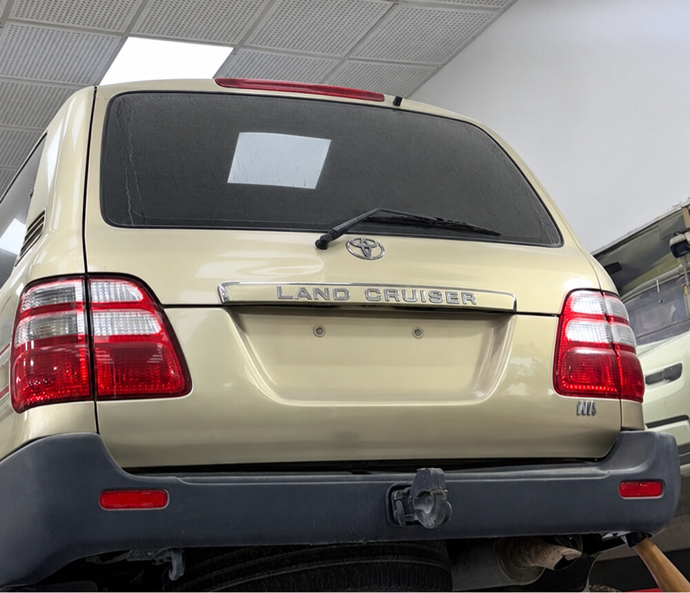 Trunk - 1