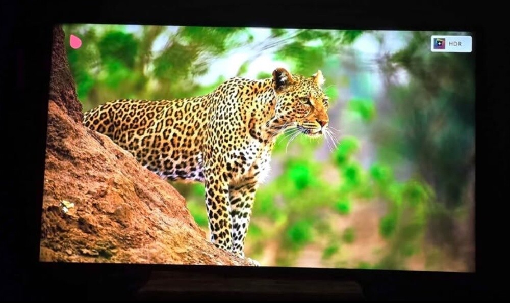 LG "55" Inches webOS Smart TV - 4