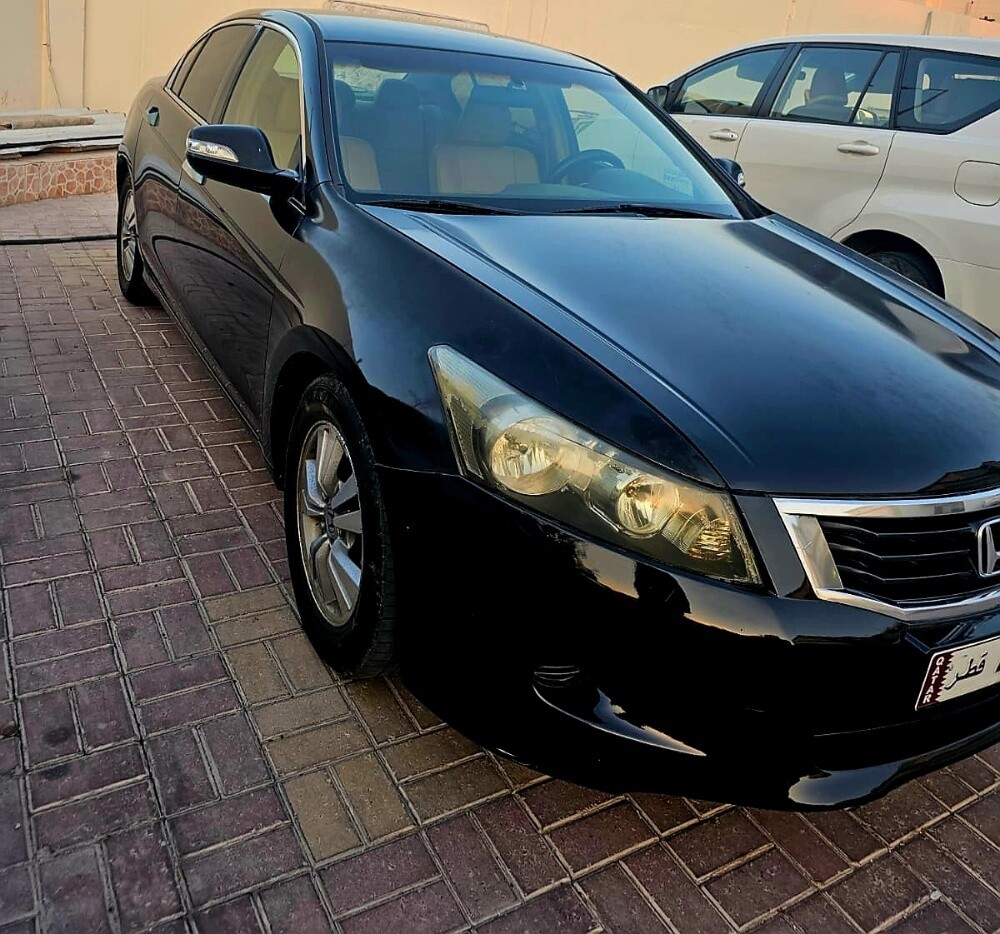 shafeek - 3