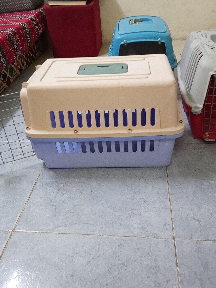 urgent sale - 1