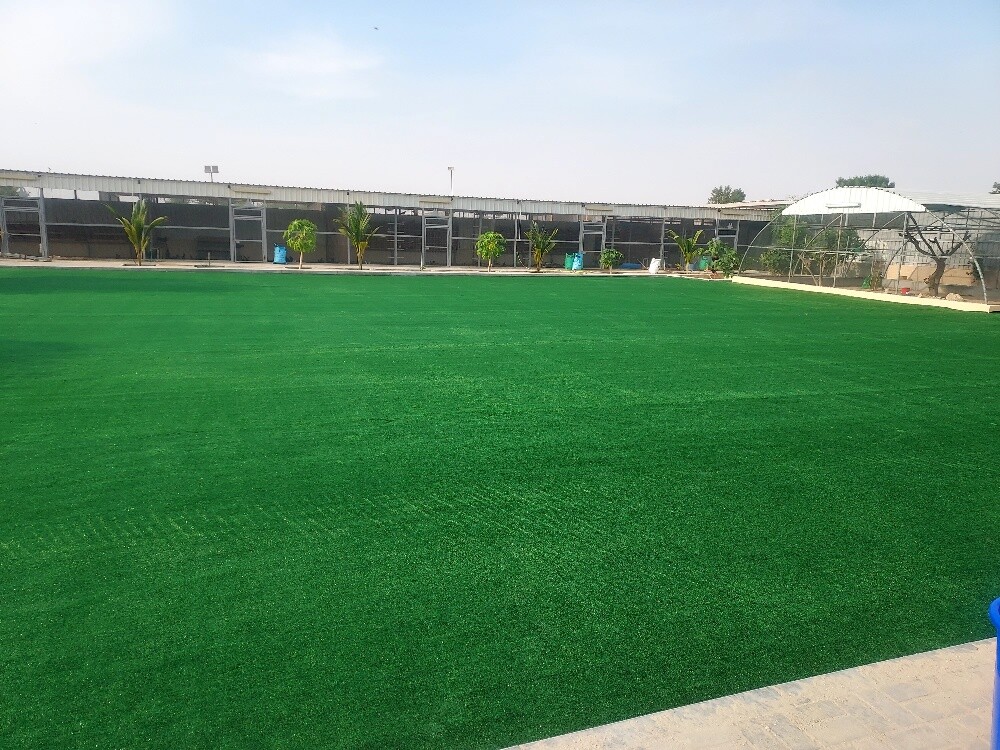 Artificial grass, green grass carpe - 6