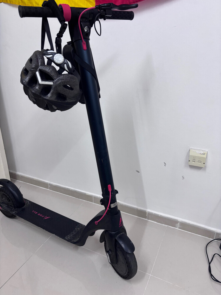 250 Watt Powerful Motor - 3