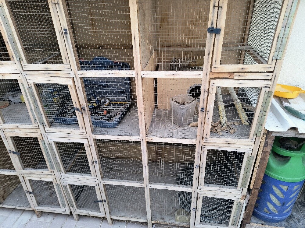 bird cage - 5