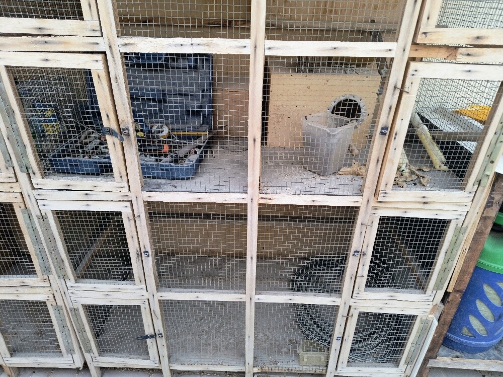 bird cage - 2