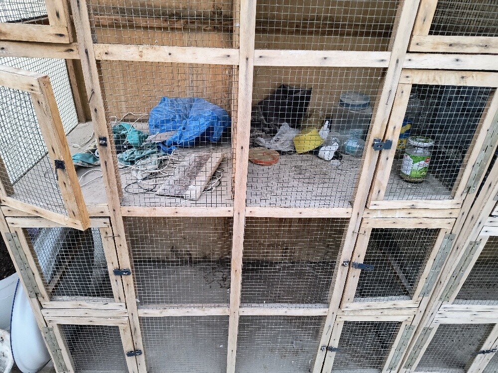 bird cage - 3