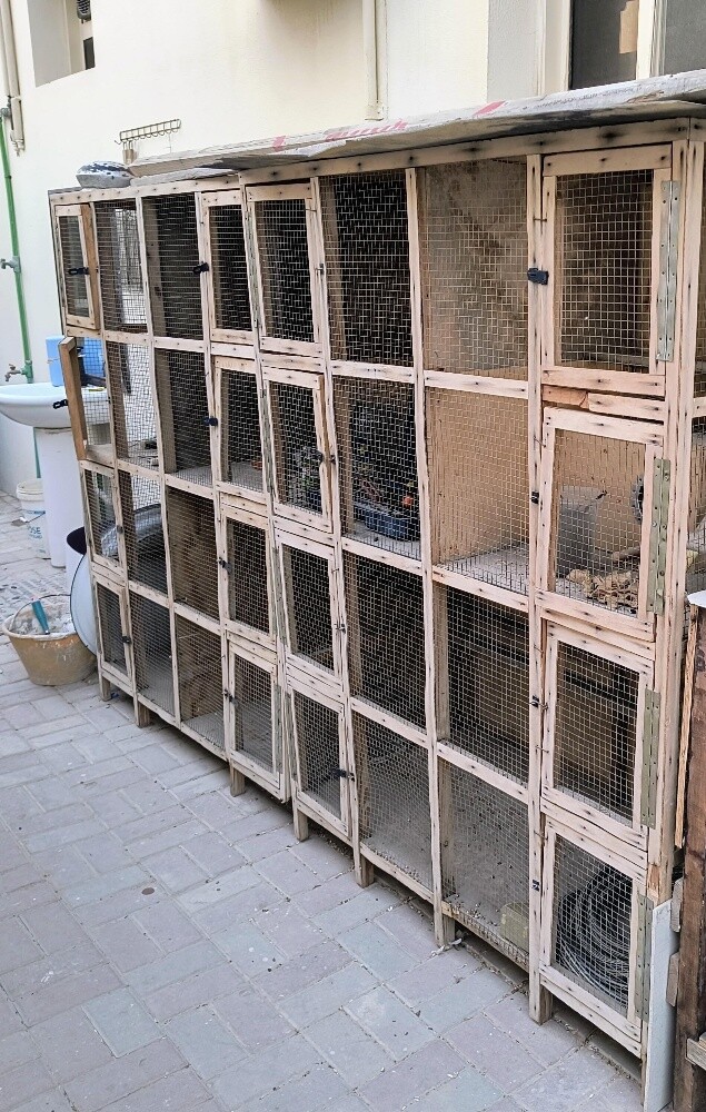 bird cage - 4