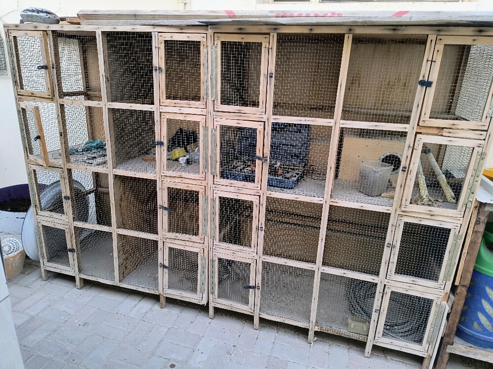 bird cage - 1