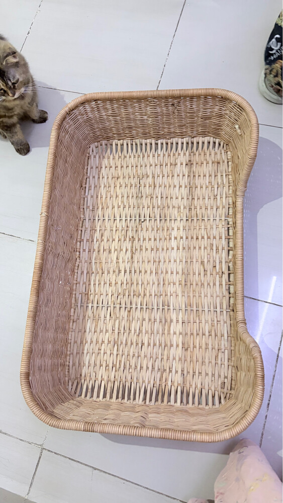 سرير قط  - 1