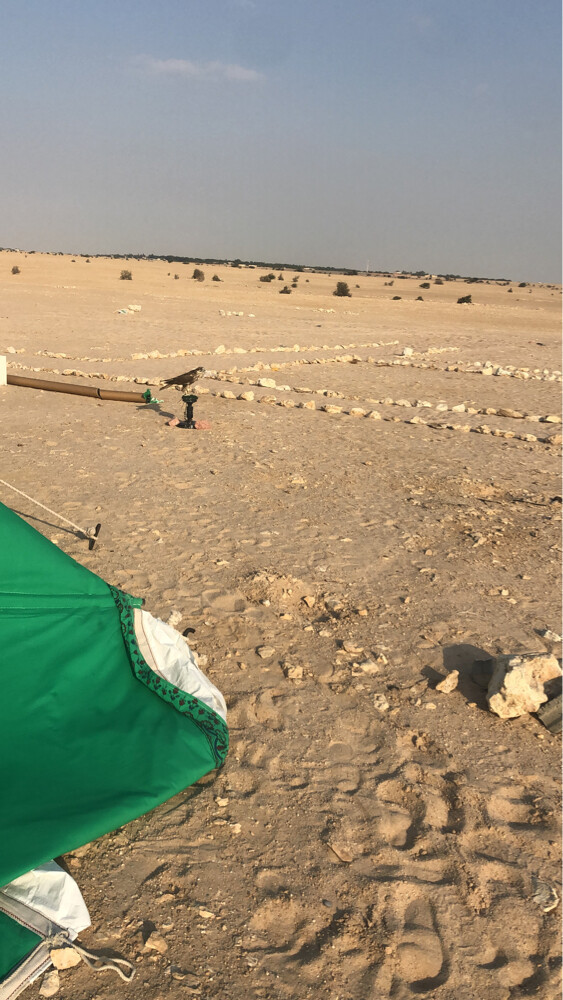 بناء العنن والمخيمات - 5