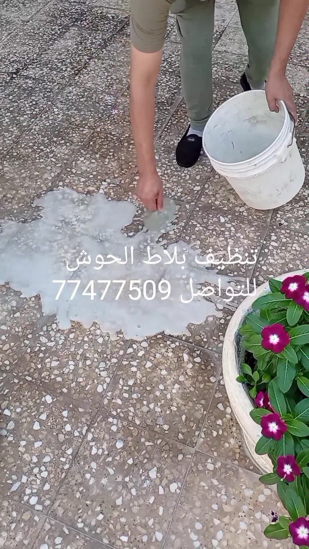تنظيف بلاط الحوش وجلي وتلميع الرخ - 16