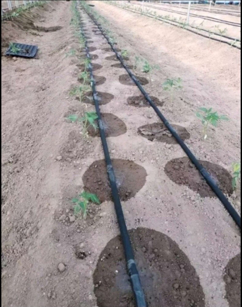 منسق حدائق٦٦٣٣١٥٦٧ - 6