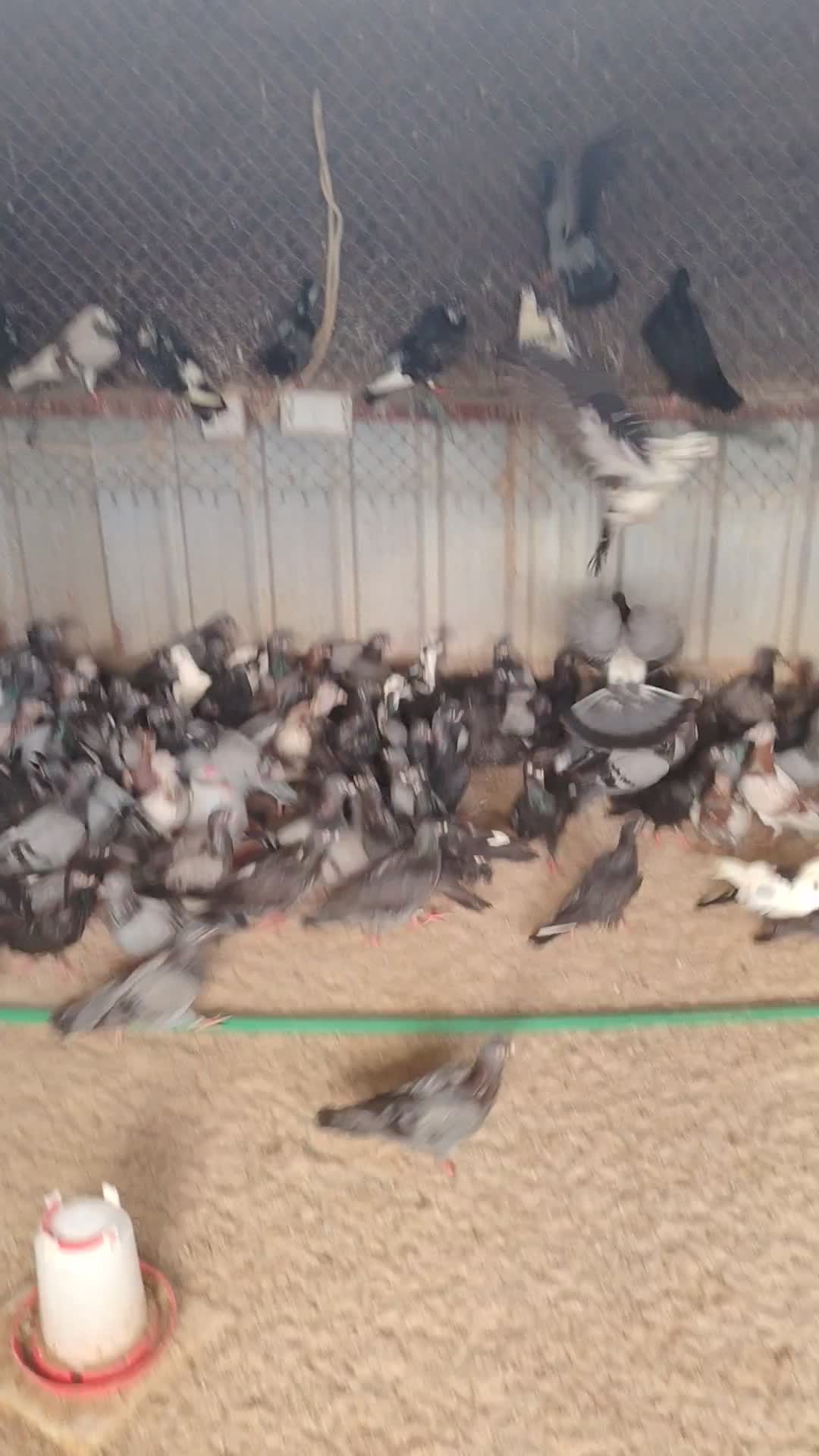 حمام طيب ممتاز - 1