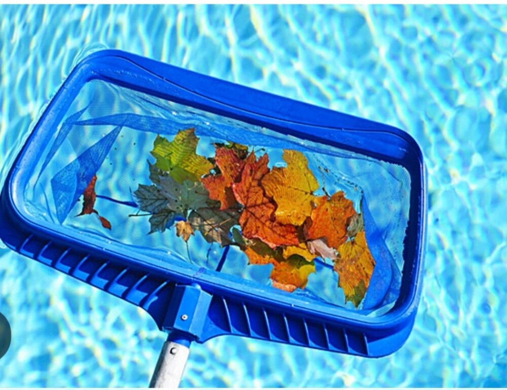 swimming pool and Accessories maint - 9