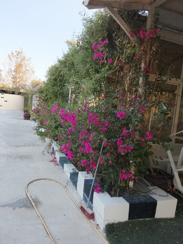 عزبة جاهزة مجمع سمسمه - 3