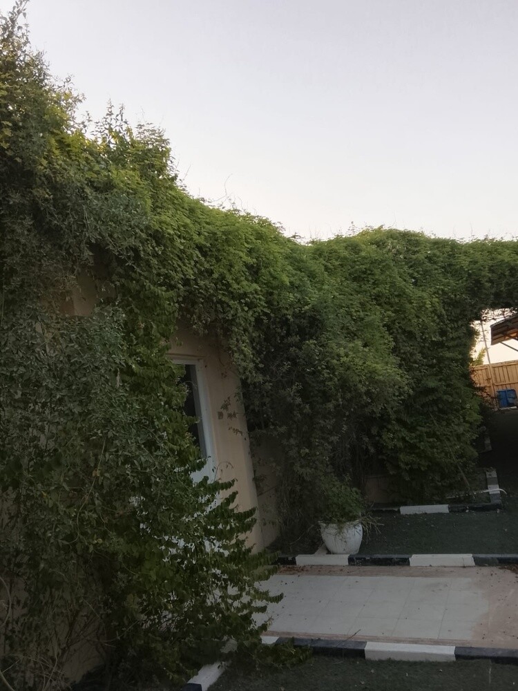 عزبة جاهزة مجمع سمسمه - 2