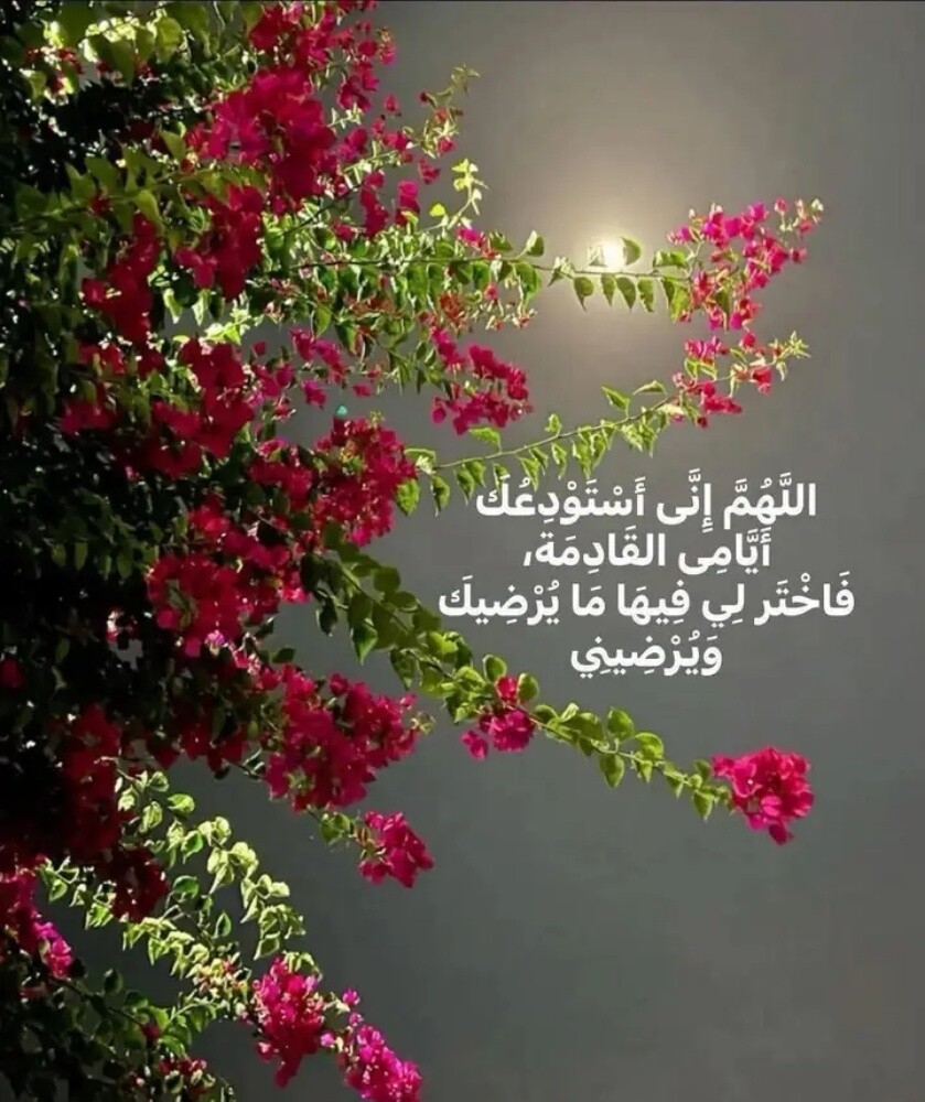 معلمة - 1