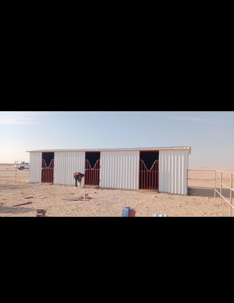 صفراء مظله - 8