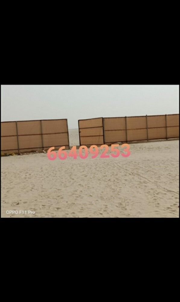 صفراء مظله - 4