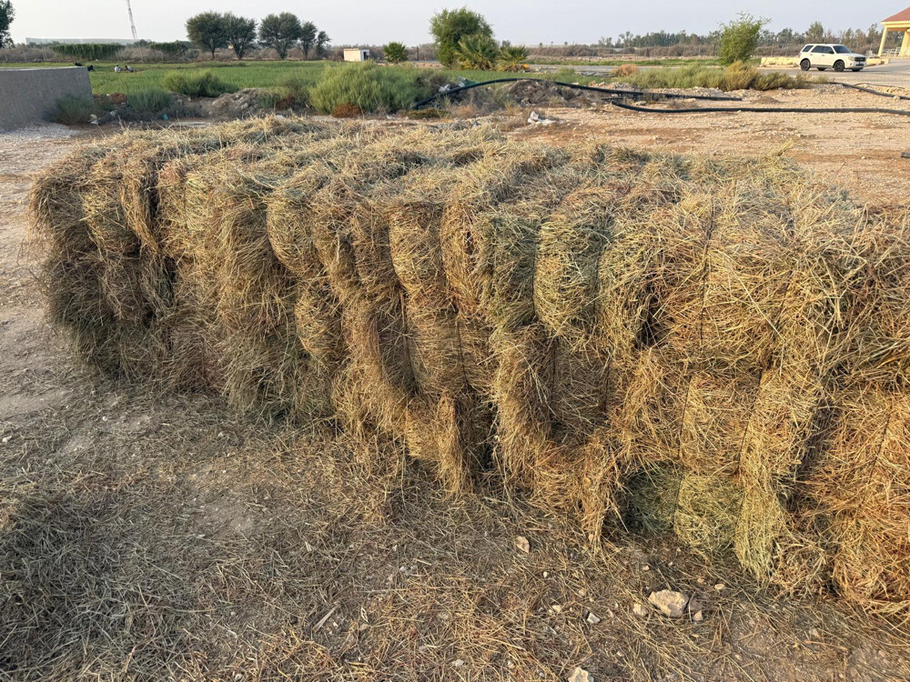 شراكة مشروع زراعي حيواني - 2