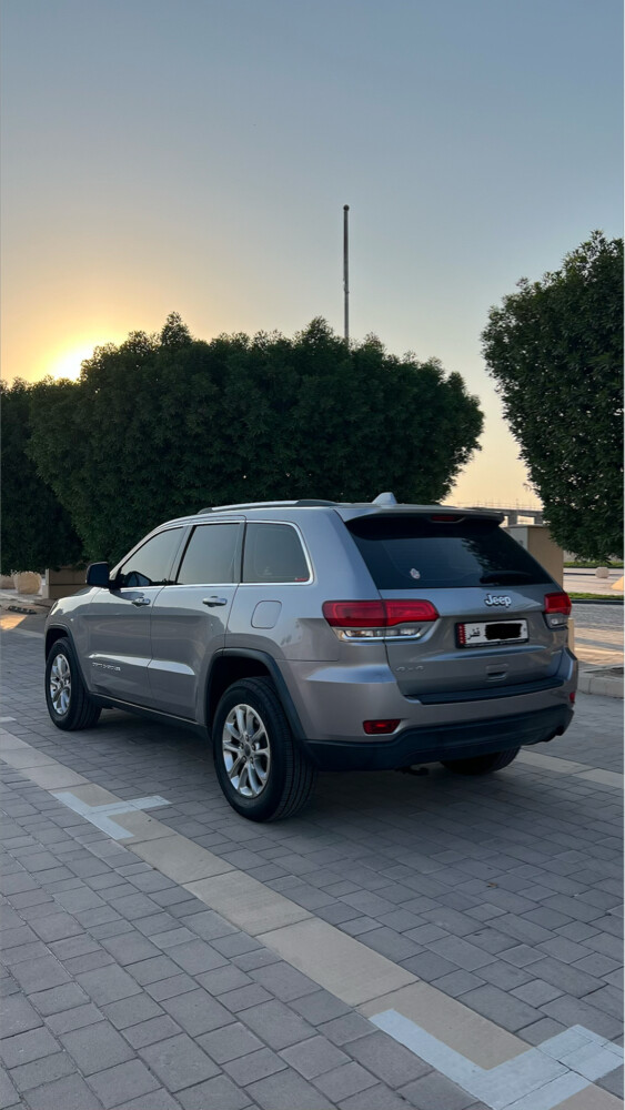 البيس جيب لأريدو - 4