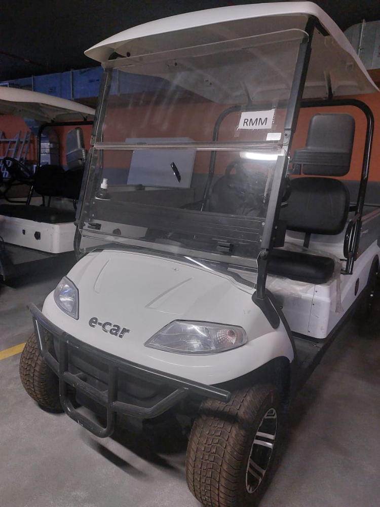Golf Cart for Sale - 2