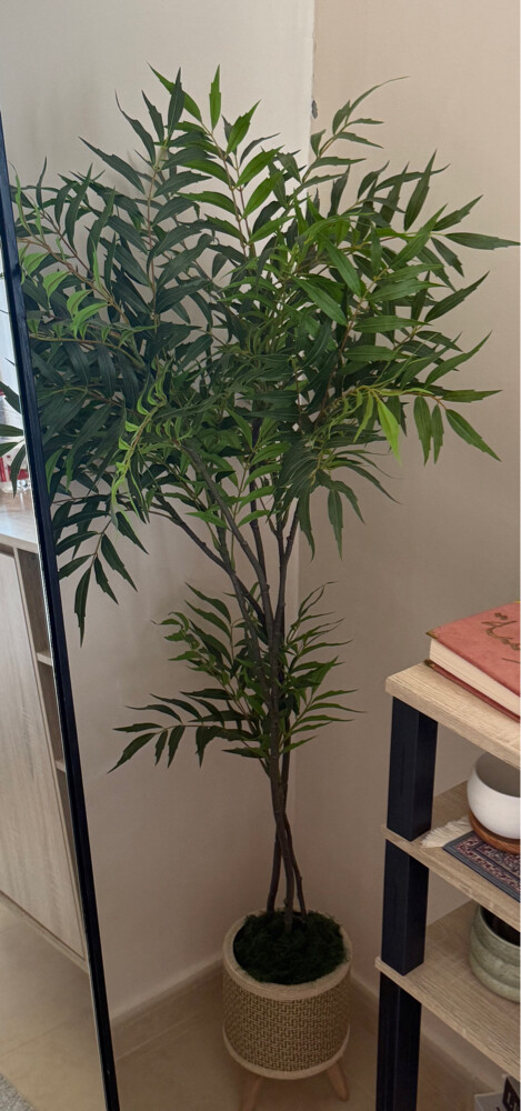 2 artificial palm trees with plante - 1