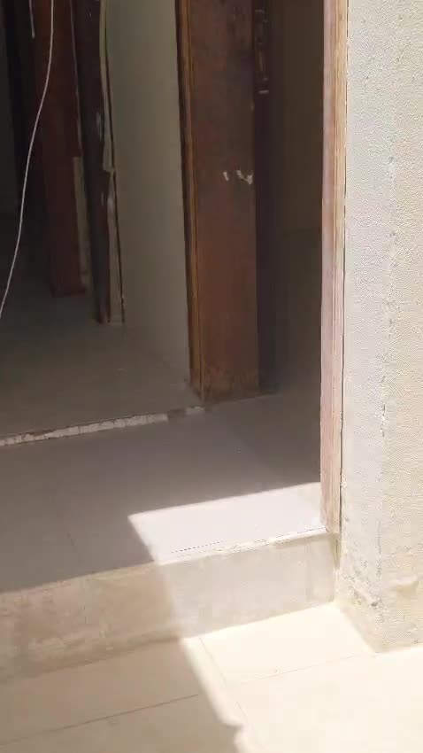 للايجار ملحق مستقل بالعزيزية - 1