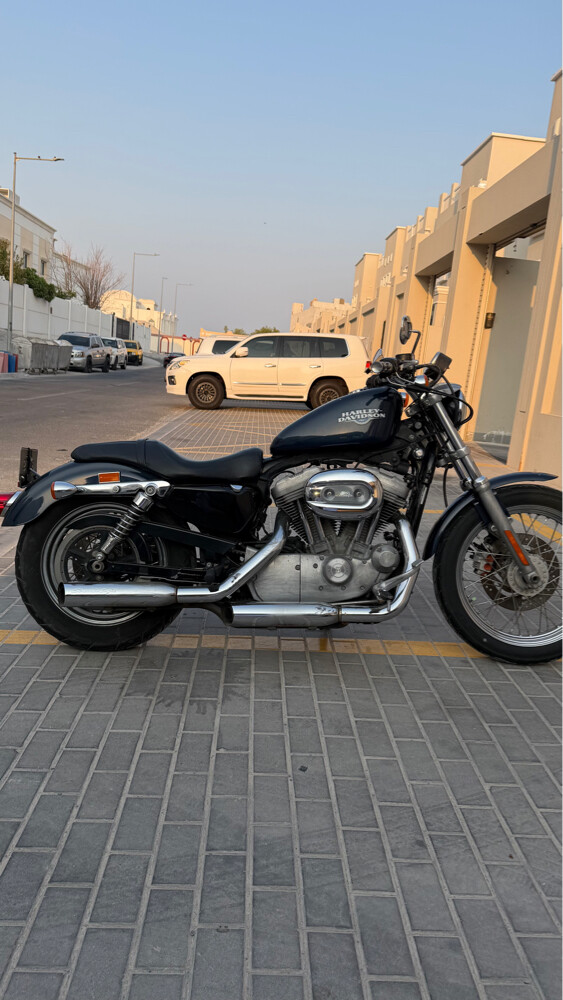 Sportster 900  - 8