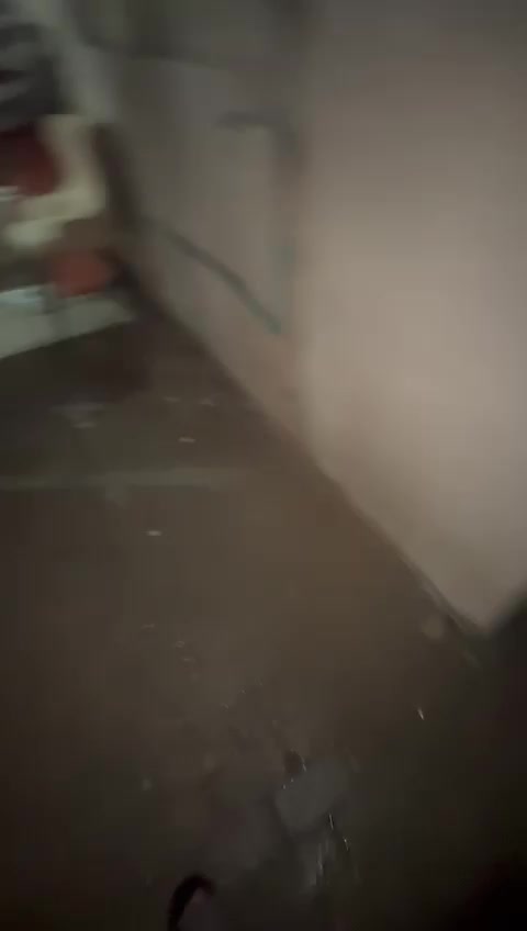 ستوديوارضى عائلى بابوهامورغرفه وم - 1