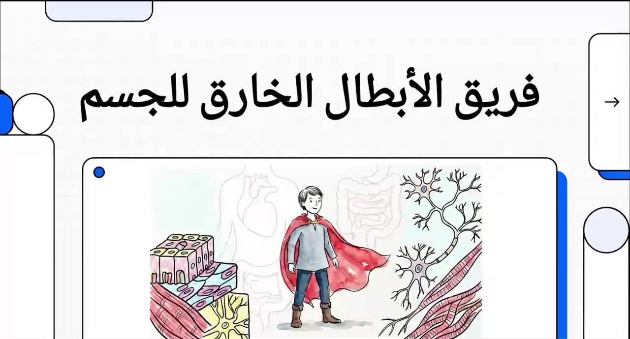 كورا ديزين|فيديوهات تعليمية قصيرة - 1