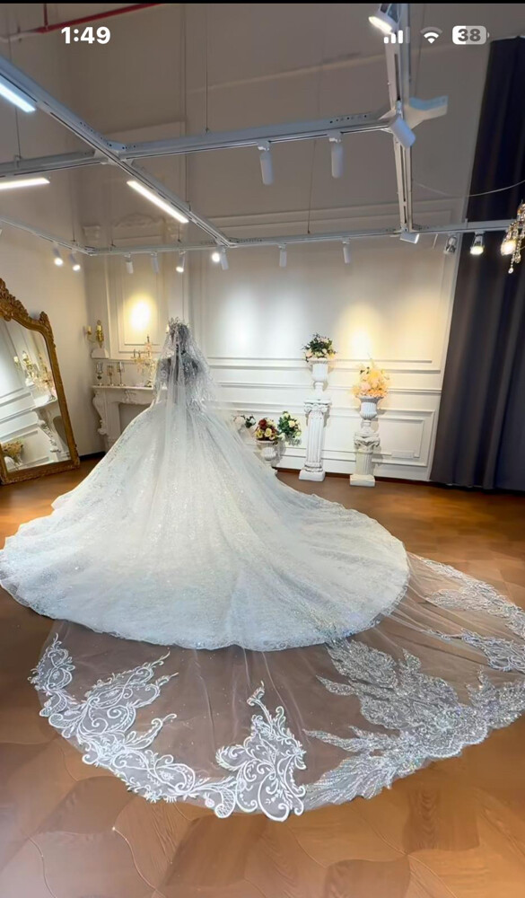 wedding dress medium - large - 2