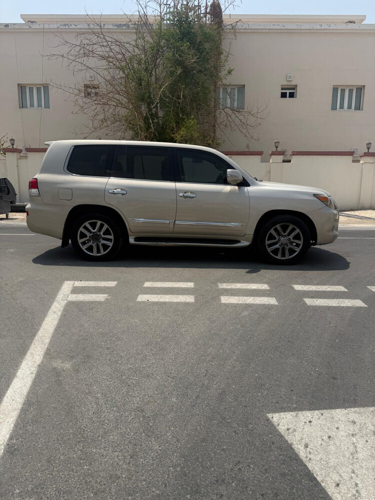 للبيع - 2
