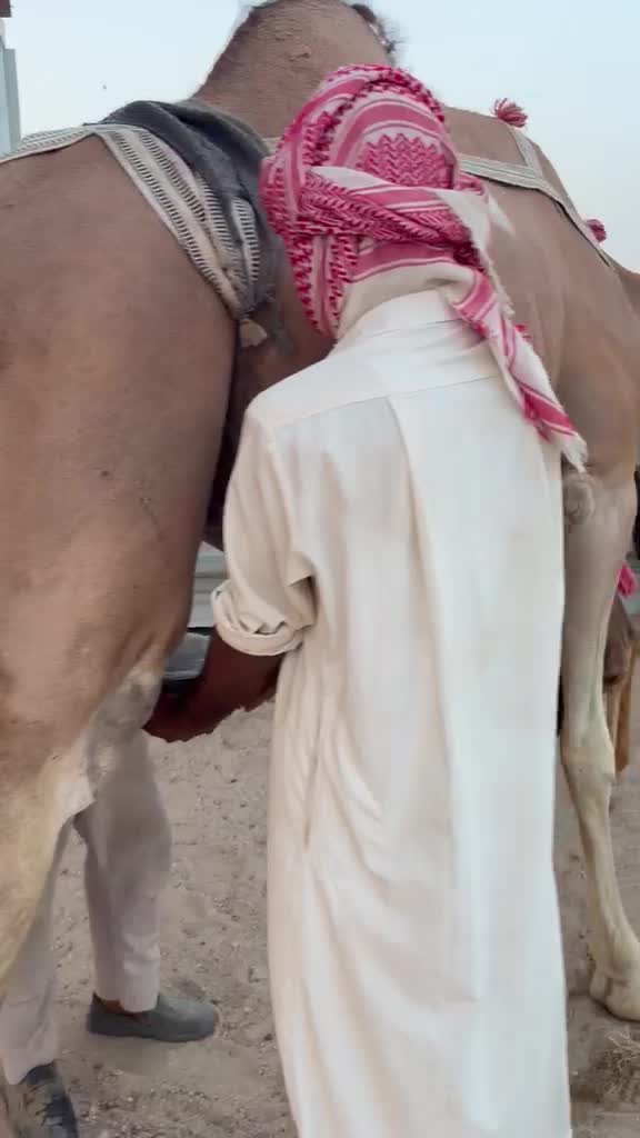 خلفه بكر - 1