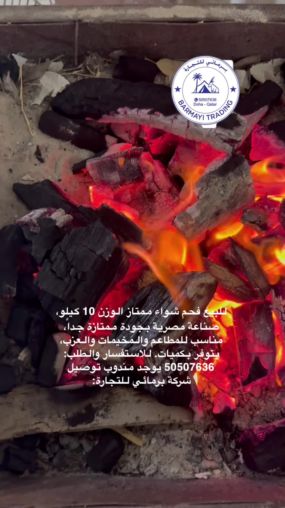 Premium Egyptian BBQ Charcoal - 1