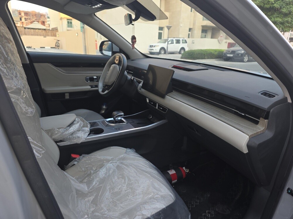 luxry edition low milage - 5