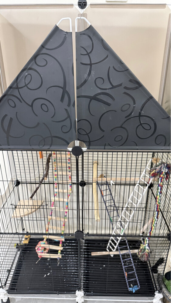 Birdcage - 2