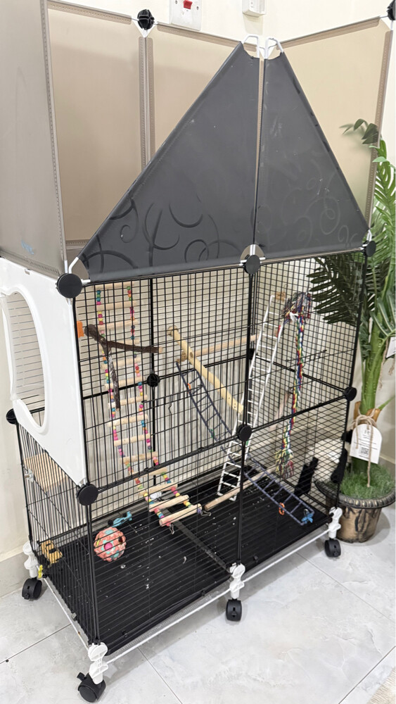 Birdcage - 4