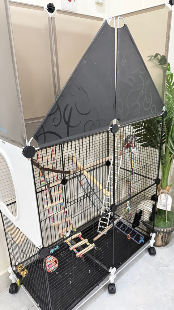 Birdcage - 1