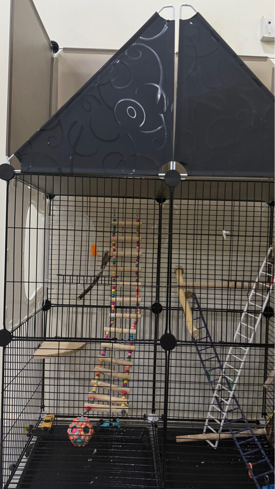 Bird cage - 1