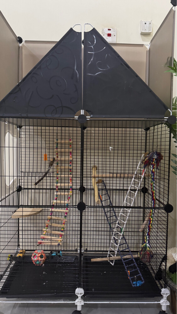 Bird cage - 4