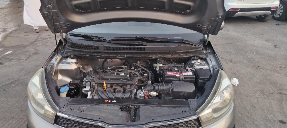 KIA PEGAS model 2020 - 11
