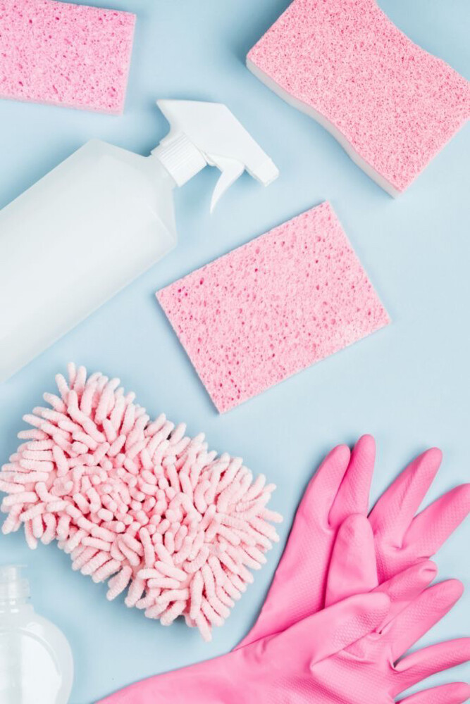female cleaner   - 1