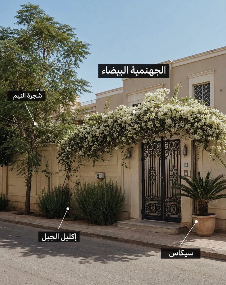 يمكننا عقود شهريه لصيانه الحدائق - 8