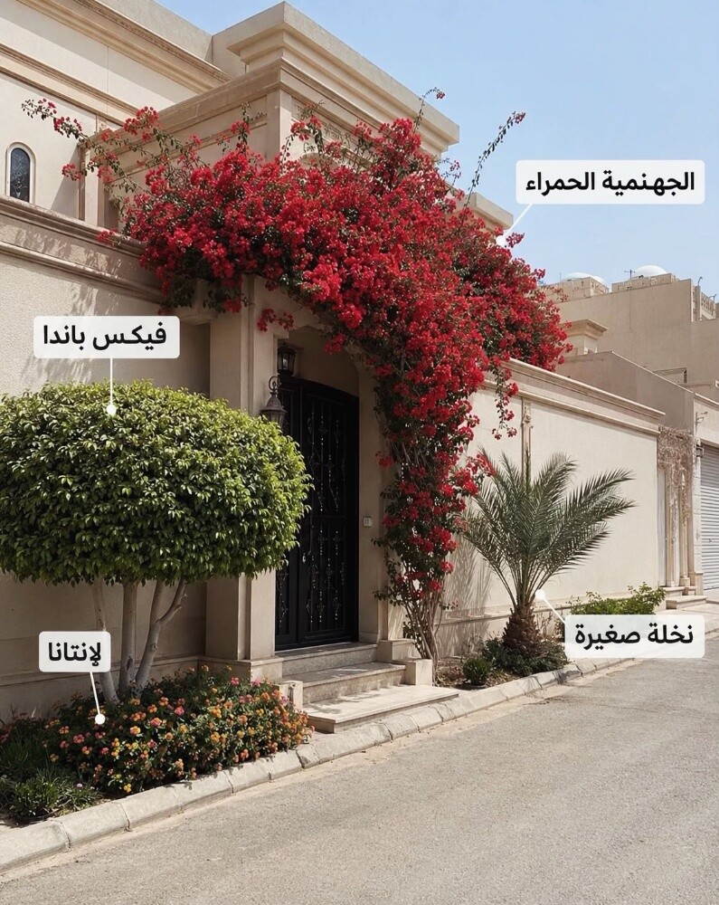 يمكننا عقود شهريه لصيانه الحدائق - 1