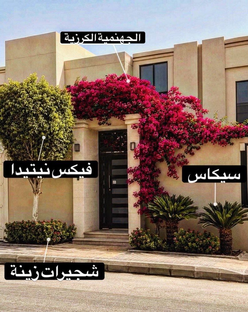 يمكننا عقود شهريه لصيانه الحدائق - 3