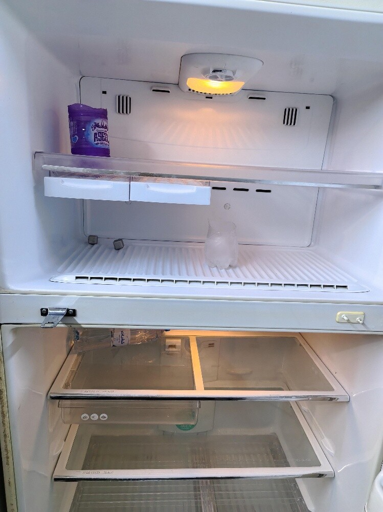 Lg 750 litter frige for sale - 3