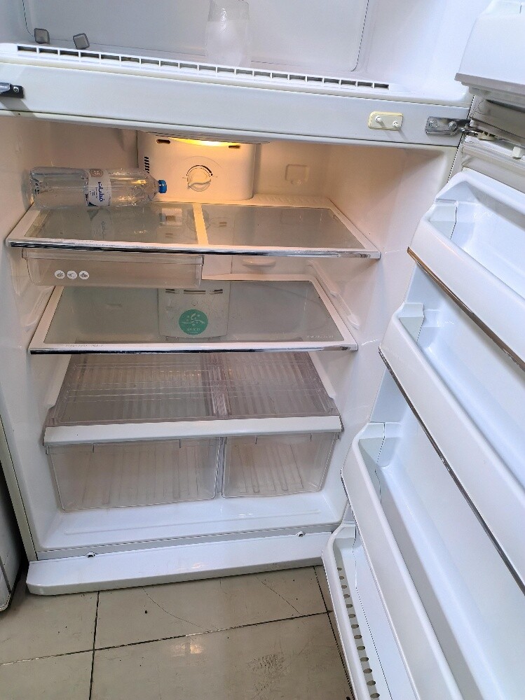 Lg 750 litter frige for sale - 4