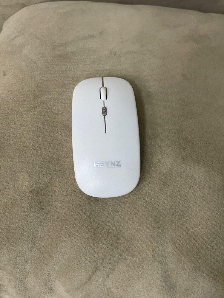 led mouse - 1