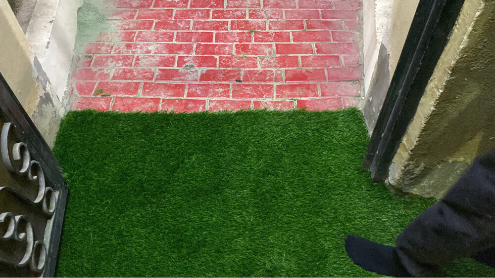 artificial grass carpet - 5
